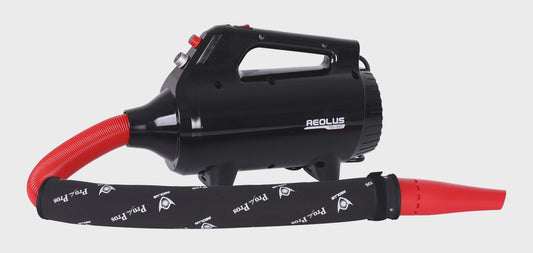 Aeolus TD941 Nova Brushless Motor Dryer 2200W